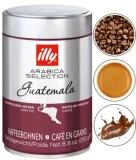 illy-arabica-selection-guatemala-gatunek-kawy-arabica