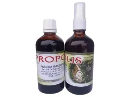 ekstrakt-propolisowy-propolis-20percent-100ml