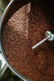 kawa-ziarnista-do-ekspresu-swiezo-palona-100percent-arabica-brazylia-papua-2x1kg