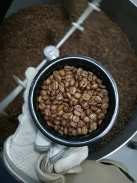 kawa-ziarnista-100percent-arabica-brazylia-cafes-guilis-kawa-brazil-do-ekspresu