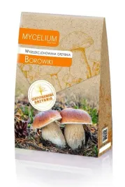 borowiki-certyfikowana-grzybnia-grzyby-lesne