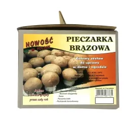 grzyby-w-domu-ogrodzie-pieczarka-brazowa-5kg