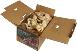 boczniak-uprawa-w-domu-balot-grzybnia-boczniaka