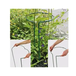 podpora-do-bylin-i-krzewow-550x6mm-fi-200mm