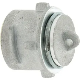 zaslepka-korek-aluminiowy-50-mm-typ-guillemin