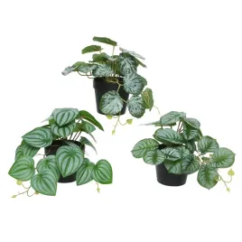 sztuczna-roslina-kwiat-w-czarnej-doniczce-zielona-dekoracja-do-domu-18cm