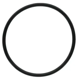 oring-uszczelka-do-filtrow-wody-10-cali-standard