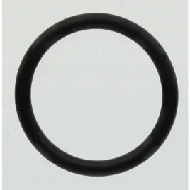 oring-pierscien-gumowy-21x262-mm-pompy-comet