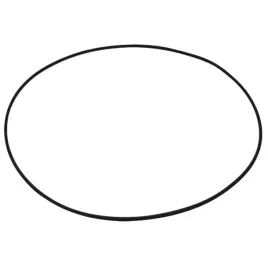 oring-250mm-5450634304060-0634304060-zf