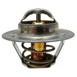 termostat-79-case-ih-54mm-74702160-granit-162000060701
