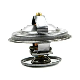 termostat-87-c-fendt-67mm-74706065-granit-f119200050040