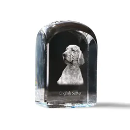 seter-angielski-laverack-krysztalowa-kostka-ze-zdjeciem-zdjecie-psa-w-k