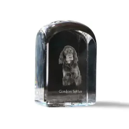seter-szkocki-gordon-setter-krysztalowa-kostka-ze-zdjeciem-zdjecie-psa