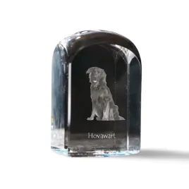 hovawart-krysztalowa-kostka-ze-zdjeciem-zdjecie-psa-w-krysztale-szescie