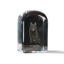 schipperke-krysztalowa-kostka-ze-zdjeciem-zdjecie-psa-w-krysztale-szesc