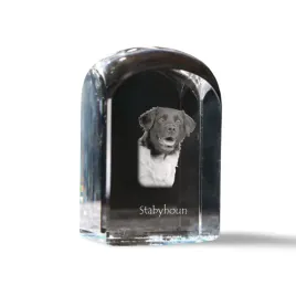 wyzel-fryzyjski-stabyhoun-krysztalowa-kostka-ze-zdjeciem-zdjecie-psa-w