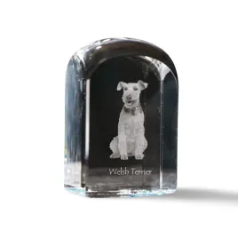 terier-walijski-welsh-terrier-krysztalowa-kostka-ze-zdjeciem-zdjecie-ps