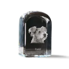 pumi-krysztalowa-kostka-ze-zdjeciem-zdjecie-psa-w-krysztale-szescienny