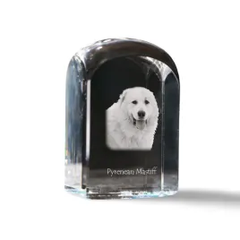 mastif-pirenejski-krysztalowa-kostka-ze-zdjeciem-zdjecie-psa-w-krysztale