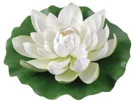 biala-lilia-wodna-duza-plywajaca-ozdoba-do-oczka-wodnego-28-cm