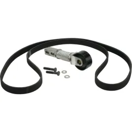 napinacz-paska-pasek-massey-4282175m1-4287396m1