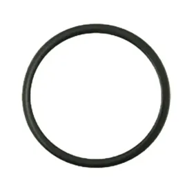 oring-pompy-wody-44x26mm-massey-landini-4223857m1