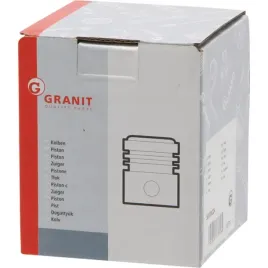 tlok-kompletny-z-pierscieniami-fi-95mm-mwm-fendt-f231202310010-7701008354