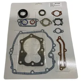 zestaw-uszczelek-silnika-briggs-stratton-590508-794307-497316