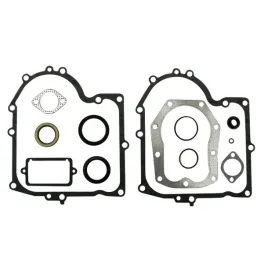 zestaw-uszczelek-silnika-briggs-stratton-494241-490525