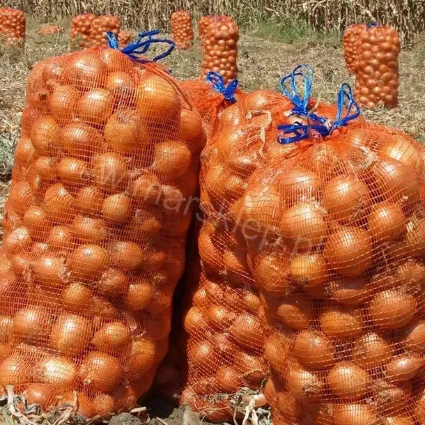 worki-raszlowe-zielone-505100-kod-producenta-wimar