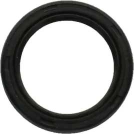 pierscien-uszczelniajacy-walka-briggs-stratton-291675s-291675