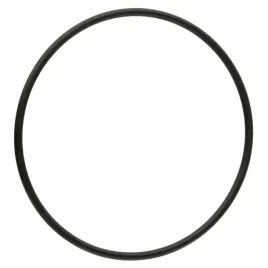 oring-7269x262-mm-pompy-annovi-reverberi-ar-160-1040060