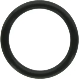oring-uszczelka-315x45-mm-pompy-annovi-reverberi-320030