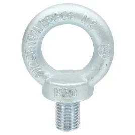 sruba-ocynkowana-z-uchem-oczkiem-m20-din-580-1-szt