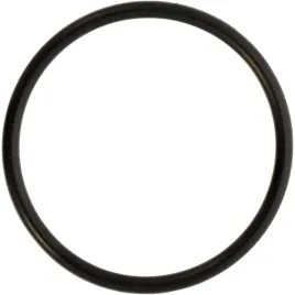 oring-pierscien-uszczelka-fendt-f931962020380-6023