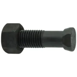 sruba-pluzna-z-nakretka-m16x2x55-10-9
