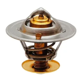 termostat-54mm-74702272-granit-2830734-2852159