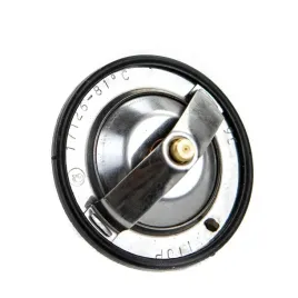 termostat-case-ih-60mm-74717126-granit-84383461-2856541-2853135