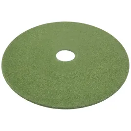 sciernica-twarda-sciernica-37270218