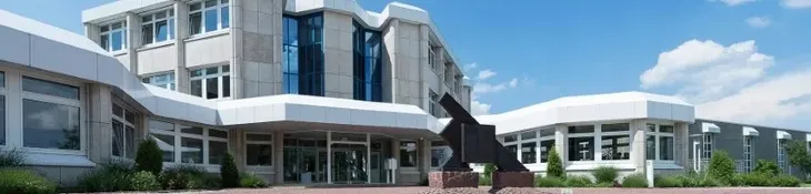 mlotek-bezodrzutowy-simplex-1105g-halder-rodzaj-mlotek