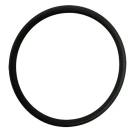 pierscien-uszczelniajacy-3131661r1-case-ih