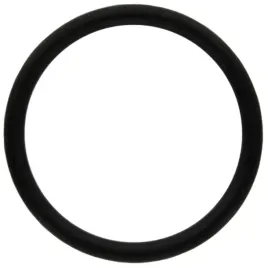 oring-592-x-57-mm-fendt-38006670-granit-x548939066000