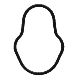 oring-case-ih-38017825-2830156-granit
