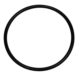 oring-massey-ferguson-70815414-granit-377832x1-369057x1