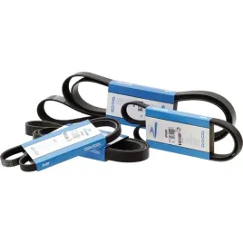 pas-klinowy-rowkowany-8n-2285mm-dayco-l115658-l110608