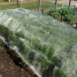 siatka-tunel-szklarnia-moskitiera-warzyw-183x3m