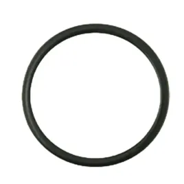 oring-tloka-case-ih-71702037-granit-3230854r1