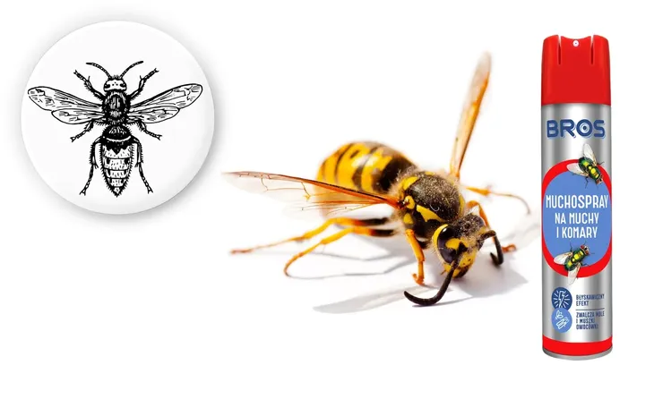 muchospray-648018b-18-bros-rodzaj-rozpylacz-aerozol-kod-producenta-648018b