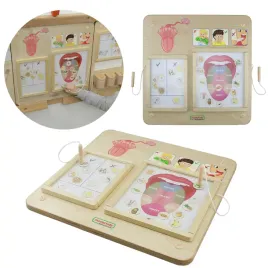 masterkidz-drewniana-tablica-edukacyjna-scienna-zmysl-smaku-montessori