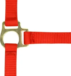 kantar-z-uwiazem-na-zrebie-ekkia-czerwony-foal